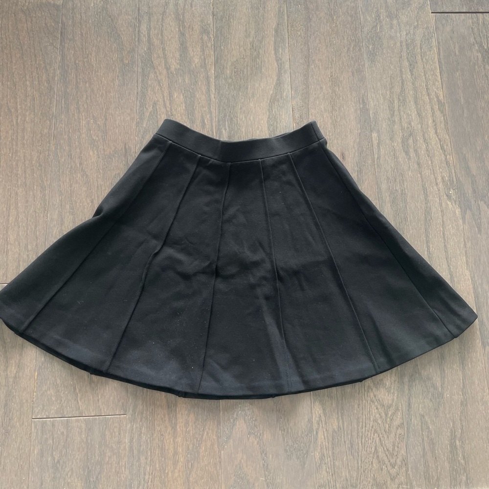 Aritzia Mini Skirt